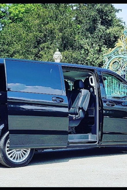 Paris: 1 Way Private Airport Transfer to & From Hotel - Professional Driver Credentials