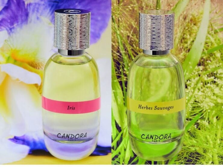 Paris: 2-Hour Perfume Creation Workshop - Experience