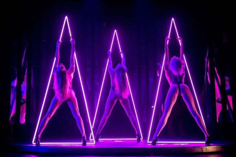 Paris: 3-Course Dinner & Show at Paradis Latin Cabaret - Show Details and Highlights