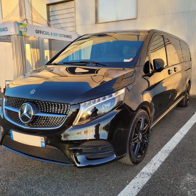 Paris Airport (CDG/ORLY) Transfer Minivan From or To Paris - Customer Testimonials