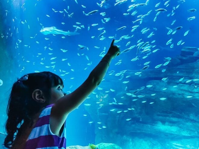 Paris: Aquarium De Paris Entrance Ticket - Inclusions With the Ticket