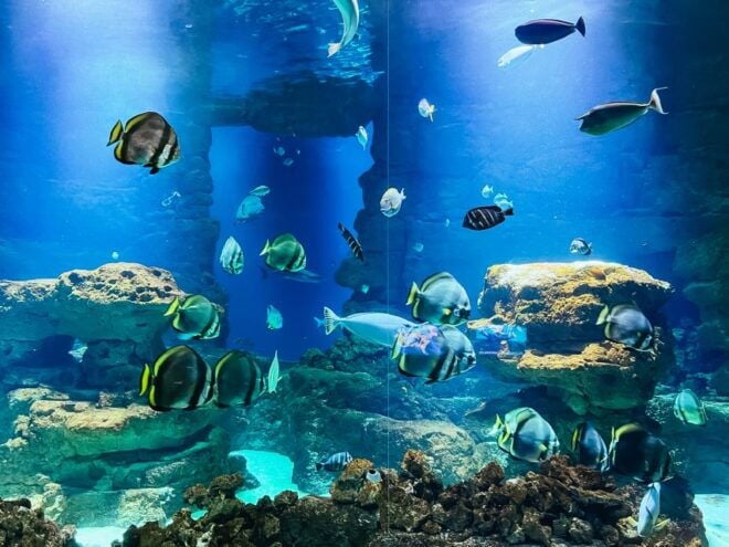 Paris: Aquarium De Paris Entrance Ticket - Review Summary