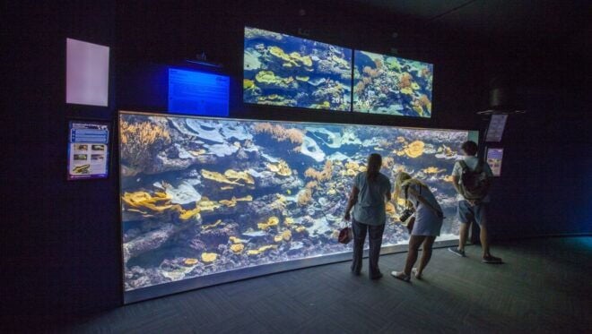 Paris: Aquarium De Paris Entrance Ticket - Helpful Reviews