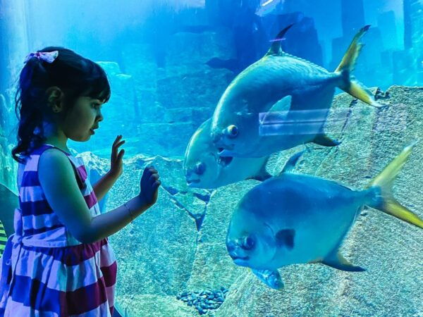 Paris: Aquarium De Paris Entrance Ticket - Common Questions