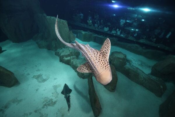 Paris: Aquarium De Paris Entrance Ticket - The Sum Up