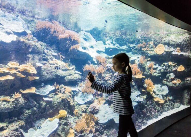 Paris: Aquarium Entry Ticket & Self-Guided Eiffel Tower Tour - Activity Details