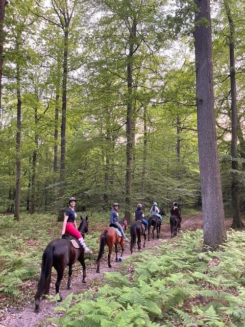 Paris: Aumont-en-Halatte Horseback Riding Tour - The Sum Up: Is it worth it?