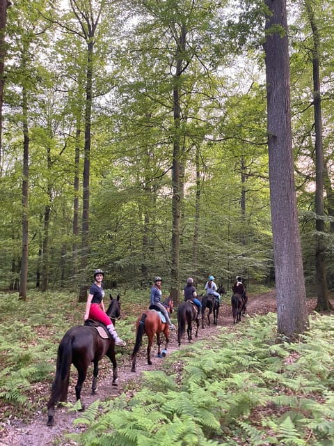 Paris: Aumont-en-Halatte Horseback Riding Tour - Customer Feedback