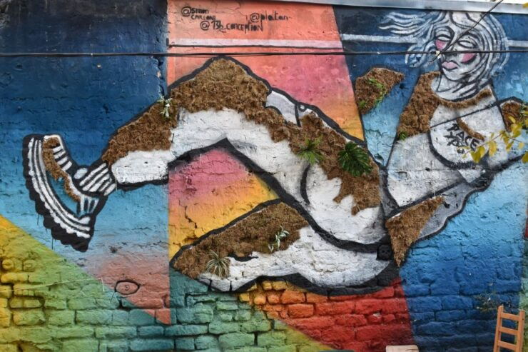 Paris: Belleville Street Art Tour With an Artist - Activity Details