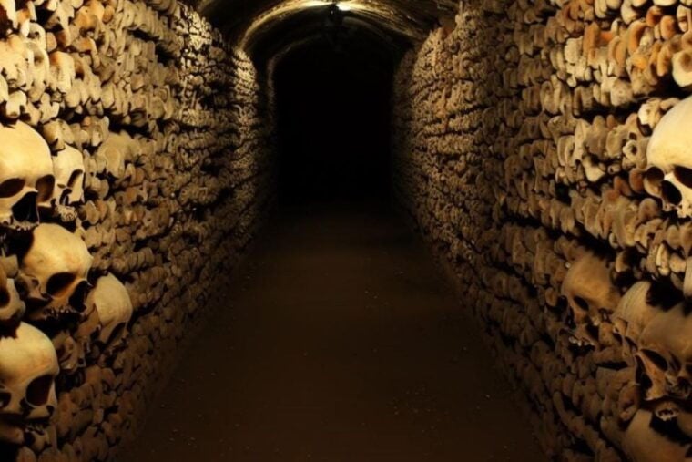 Paris: Catacombs, Audio Guide, and River Cruise Option - Audio Guide Options