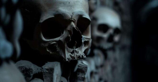 Paris: Catacombs Entry Ticket, Audio Guide, and River Cruise - Review Summary From Customers