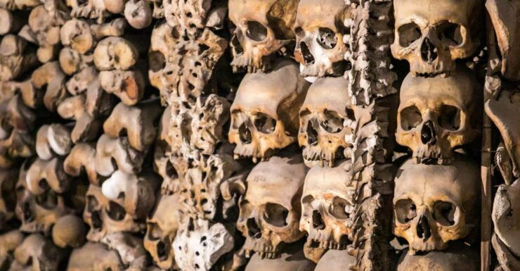 Paris: Catacombs Guided Tour - Experience the Catacombs