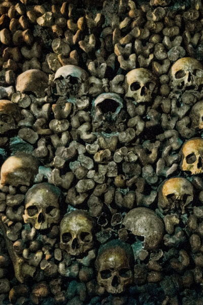 Paris: Catacombs Guided Tour - Booking Information