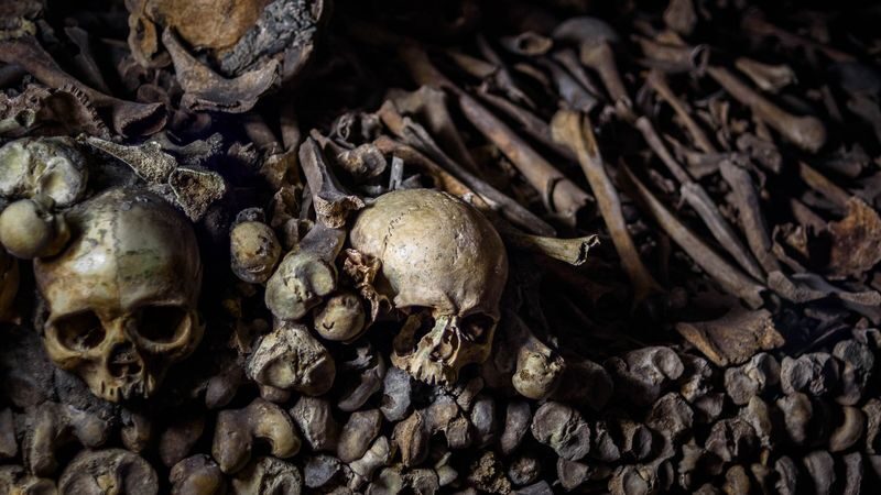 Paris Catacombs Guided Tour with Skip-the-Line & Restricted Areas - Below the streets at Denfert-Rochereau