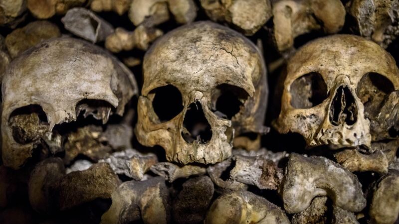 Paris Catacombs Guided Tour with Skip-the-Line & Restricted Areas - Price, group size, and what you get