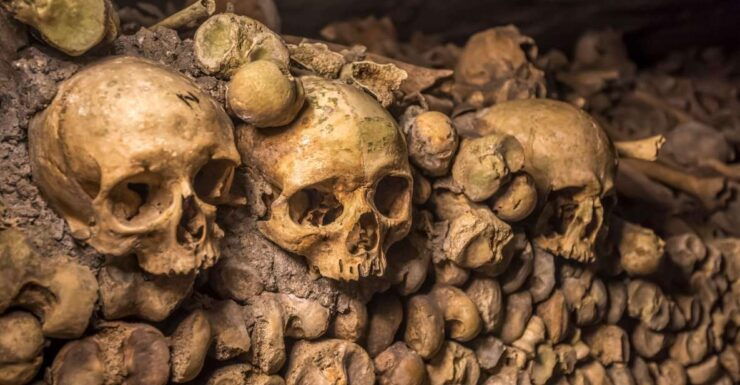 Paris Catacombs Skip-the-Line Guided Tour and Special Access - Activity Details