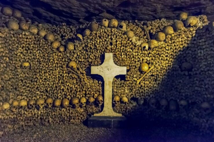 Paris Catacombs Skip-the-Line Guided Tour and Special Access - Experience