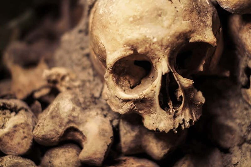 Paris: Catacombs Special Access Tour - Good To Know