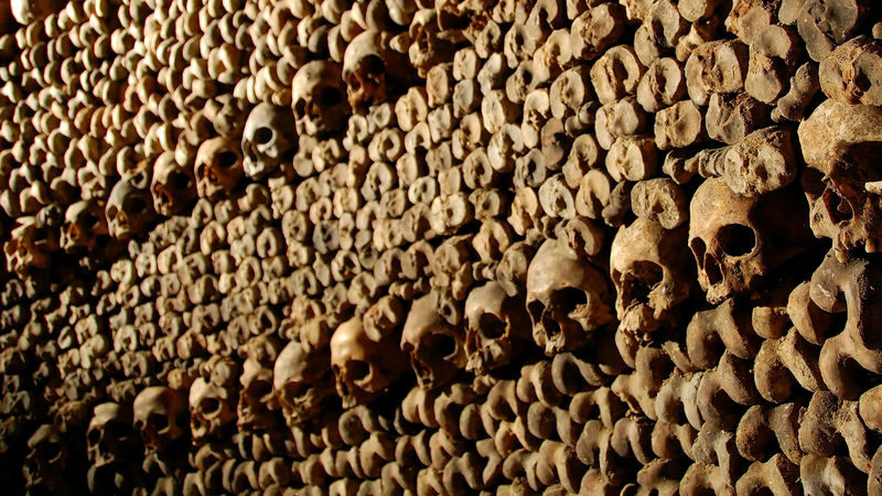 Paris Catacombs Ticket and Seine River Cruise in Paris - Key points to know before you book