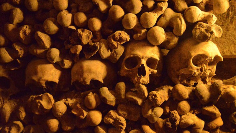 Paris Catacombs Ticket and Seine River Cruise in Paris - Planning the day around your timed entry