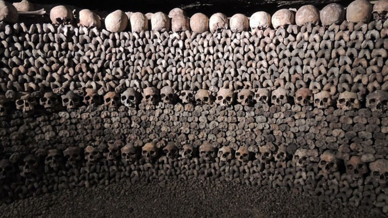 Paris Catacombs Ticket and Seine River Cruise in Paris - Is the Catacombs and Seine ticket worth booking?