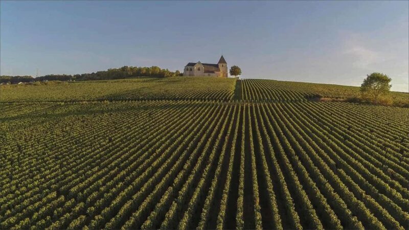 Paris: Champagne Region Day Trip with Expert Guide - Visiting Champagne Houses: The Heart of the Experience