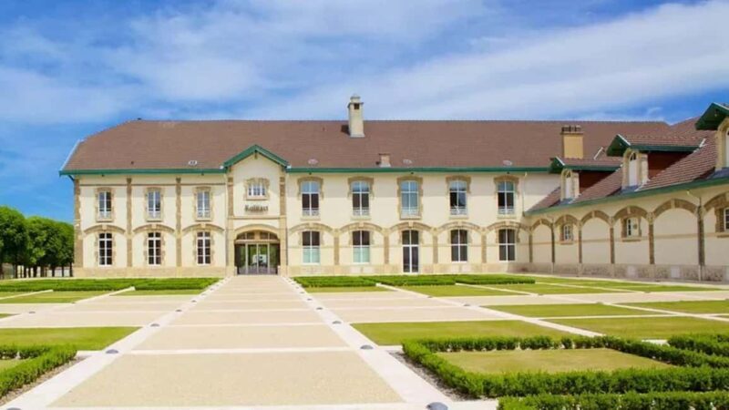 Paris: Champagne Region & Reims Private Day Trip - Good To Know