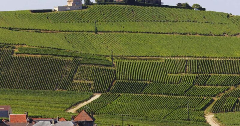Paris: Champagne Region & Reims Private Day Trip - Is the Price Justified?