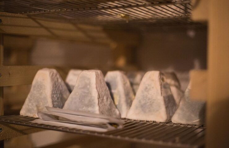 Paris: Cheese and Wine Tasting - Experience Highlights