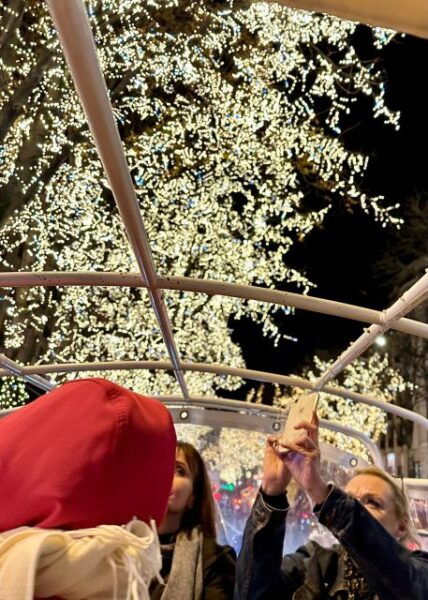 Paris: Christmas Lights Tuk Tuk Tour - The Sum Up