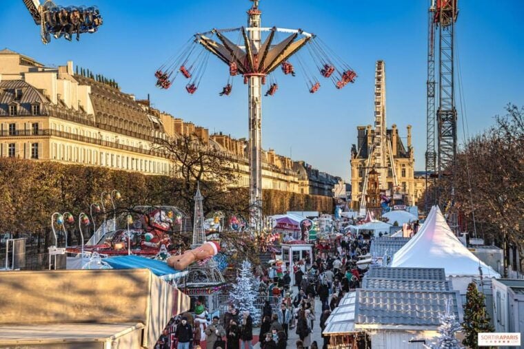 Paris: Christmas Private City Tour by Car - Iconic Landmarks Decorated for the Holidays