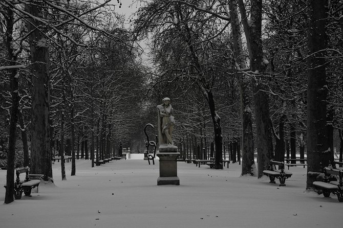 Paris Christmas Tour With a Local Guide, Custom & Private - Common Questions