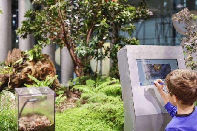 Paris: City of Science and Industry Museum Entry Ticket - Important Information