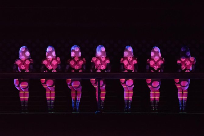 Paris Crazy Horse Cabaret Show Privilege - Additional Information and Accessibility