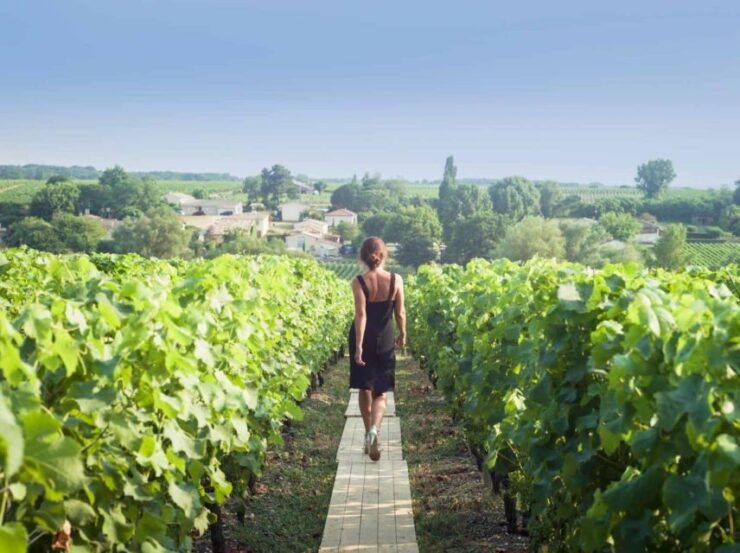 Paris: Discover the Cellars of the Countryside in Champagne - Availability and Itinerary