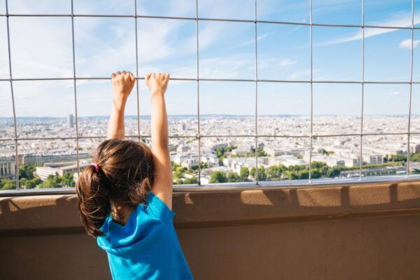 Paris: Eiffel Tower 2nd Floor Access or Summit Access - Common Questions
