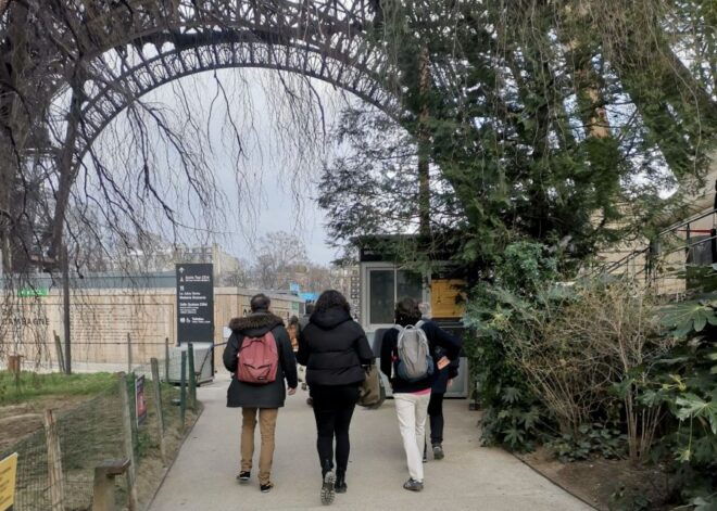 Paris: Eiffel Tower Guided Tour With Summit Access - Customer Reviews and Ratings