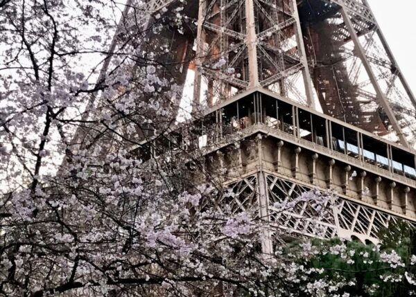 Paris: Eiffel Tower Guided Tour With Summit Access - Common Questions