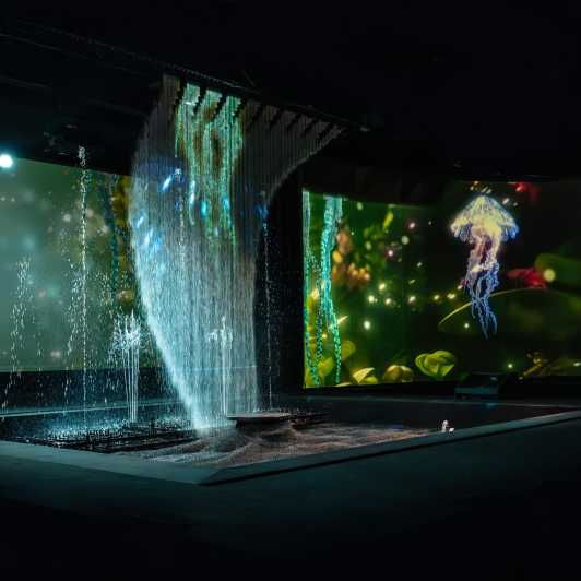 Paris: Entry Ticket to The Seasons Games Show at the Lido - Overview of the Experience
