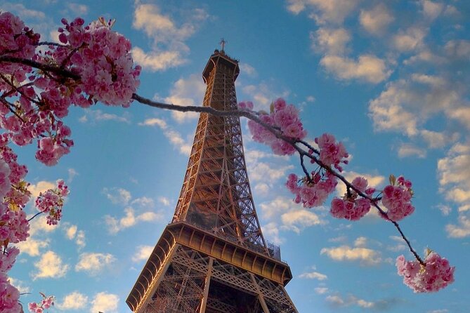 Paris Famous Eiffel Tower, Louvre Museum Experience & Seine River Cruise Tour - Package Inclusions