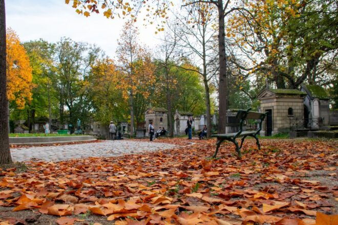 Paris: Full-Day Custom Tour With Local Guide - Location and Key Attractions