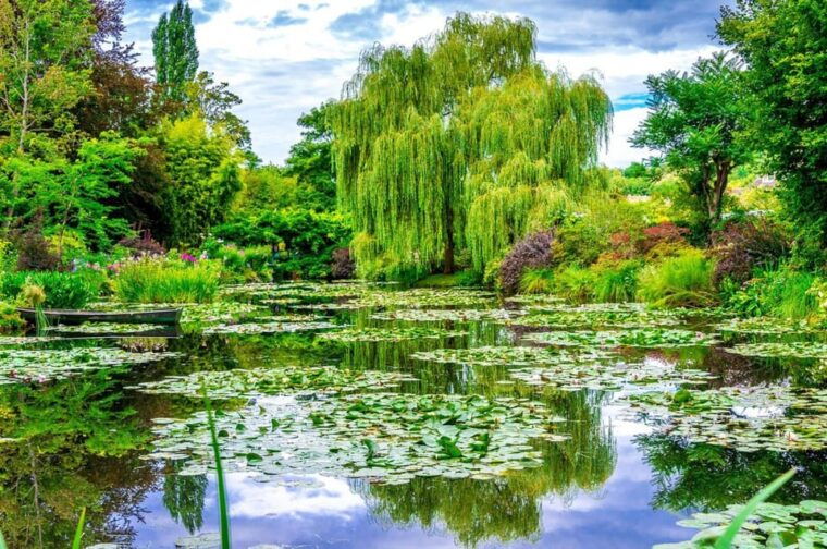 Paris: Giverny Private Half-Day Trip to Monets Garden - Practical Information for Visitors