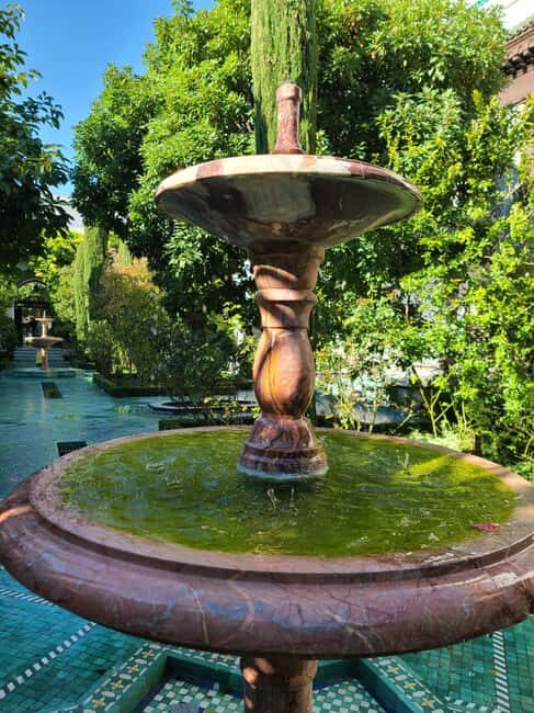 Paris: Guided Tour of the Grand Mosque & Secret Gardens - Why This Tour is a Great Choice