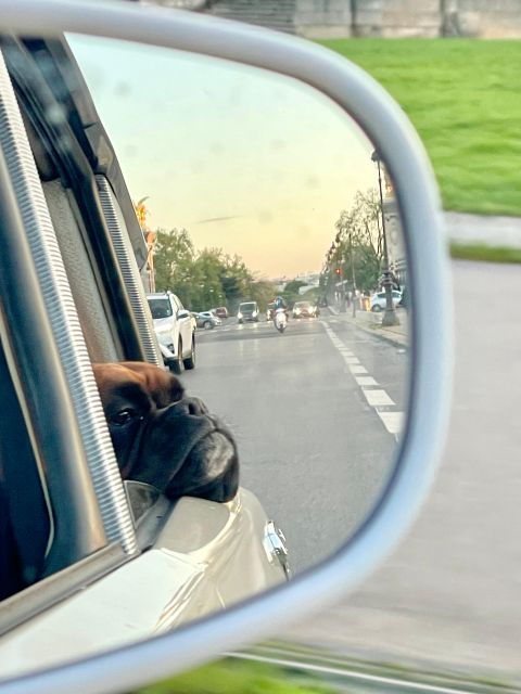 Paris : Highlights of Paris on a Citroën DS With Open Roof - Pickup Information