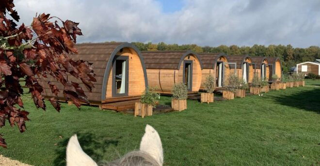 Paris : Horse Riding Camp With English Lessons in Senonches - Full Description