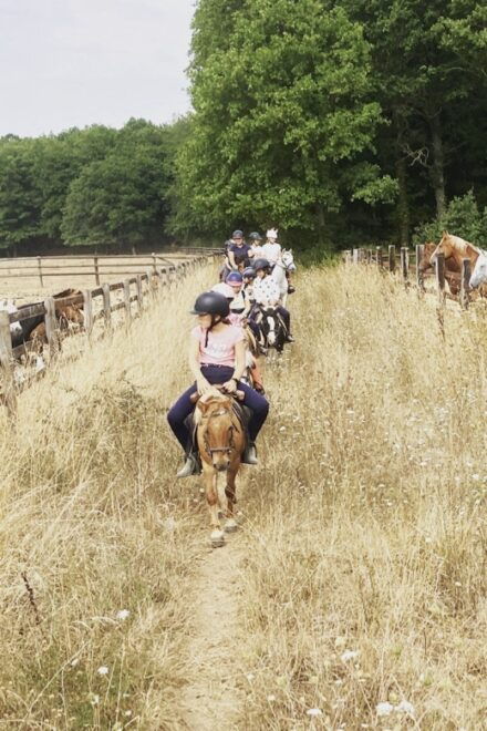 Paris : Horse Riding Camp With English Lessons in Senonches - Activity Description