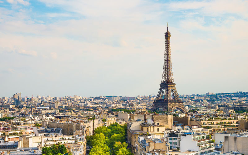 Paris in One Day Tour from Amsterdam - Choosing museums, monuments, or a long walk