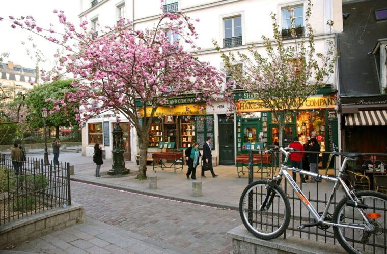 Paris: Latin Quarter Essential Highlights Walking Tour - Tour Inclusions