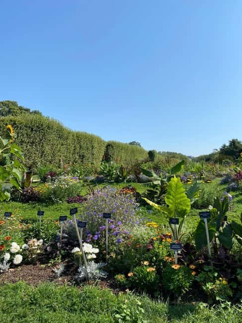 Paris: Latin Quarter Walking Tour w/ Notre Dame Fast Entry - Authenticity and Insights Based on Reviews