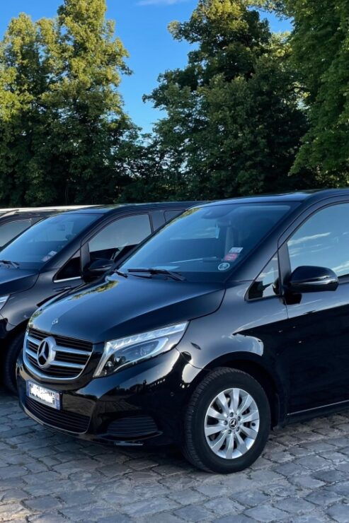 Paris: Luxury Mercedes Transfer to Geneva or Lausanne - Good To Know